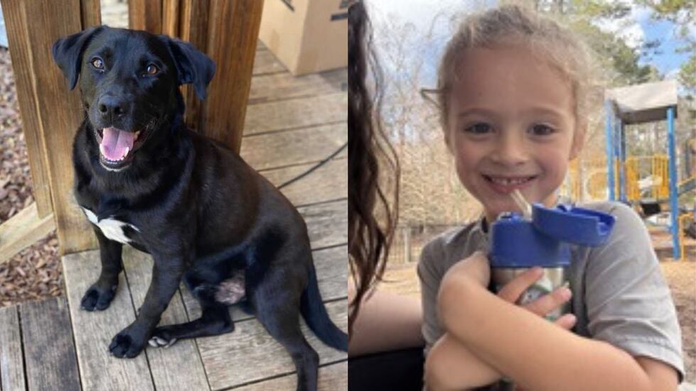 Johnathan Everett Boley, 4, and his dog went missing on New Year's Eve in Walker County, Alabama.