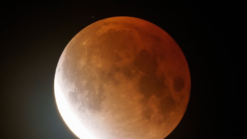 La luna de gusano brilla en color naranja mientras comienza a elevarse durante un eclipse...