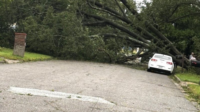 Árboles caídos, inundaciones y destrucción, además de víctimas mortales tras el paso de Helene...