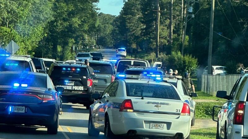 Reportan mayor una actividad de ICE en Georgia