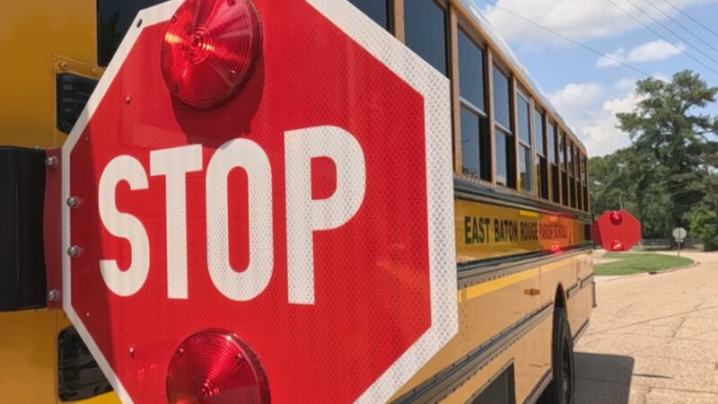 Imagen de un autobús escolar